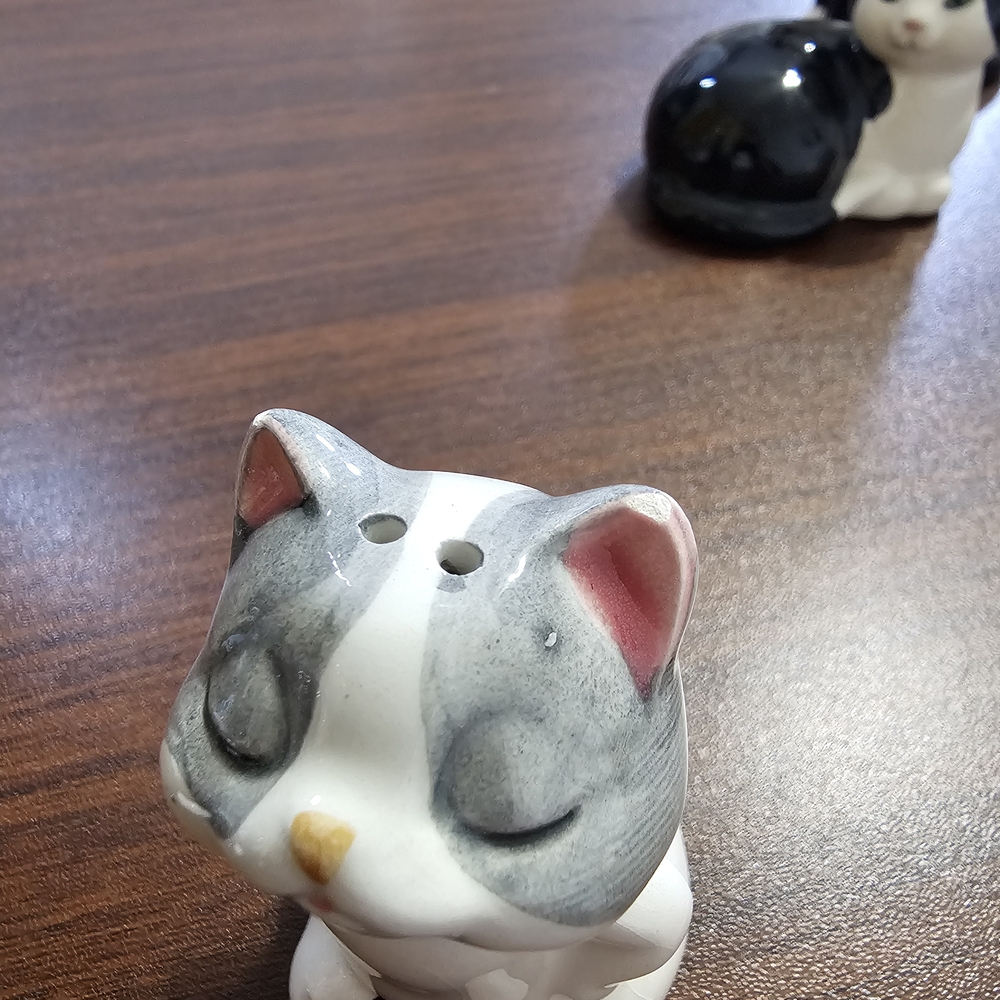 Cat Salt and Pepper Shakers - Picture 5 of 5